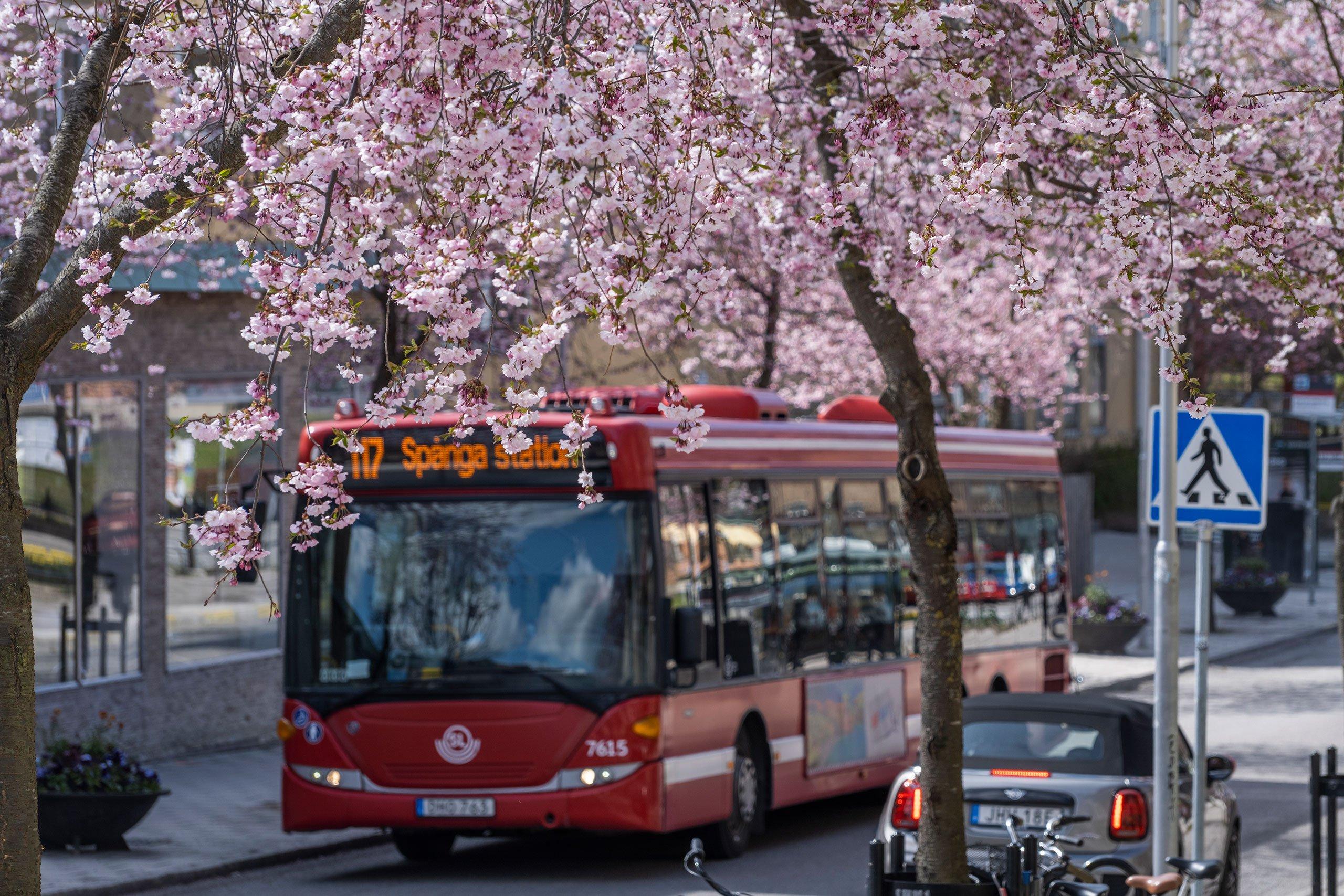 Spånga centrum är ett attraktivt bostadsområde där Seniorgården planerar för kvarteret Sörgården med nyproducerade bostadsrätter. Här bor du nära kommunikationer, affärer och service.
